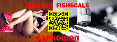 твердый Кингисепп