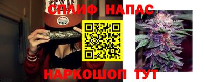 твердый Кингисепп