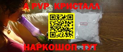 твердый Кингисепп