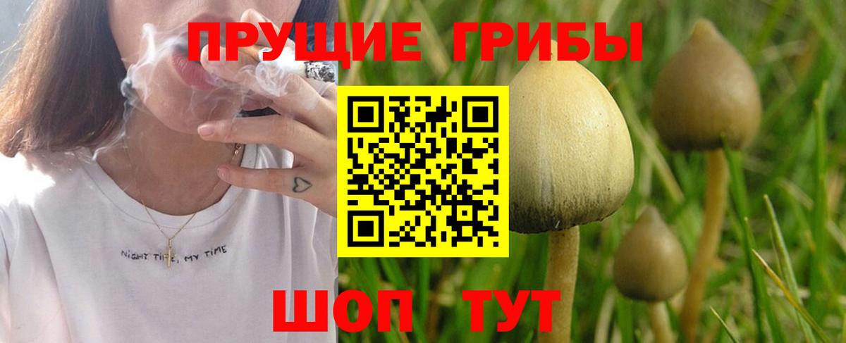 Галлюциногенные грибы мицелий  Псилоцибиновые грибы Psilocybe  Вход с VPN  Красноуфимск 